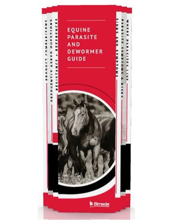 Equine Parasite and Dewormer Guide